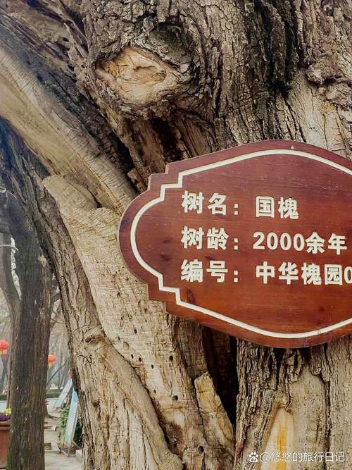 周口有什么好玩的地方旅游景点