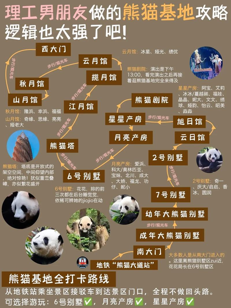 成都大熊猫繁育研究基地攻略