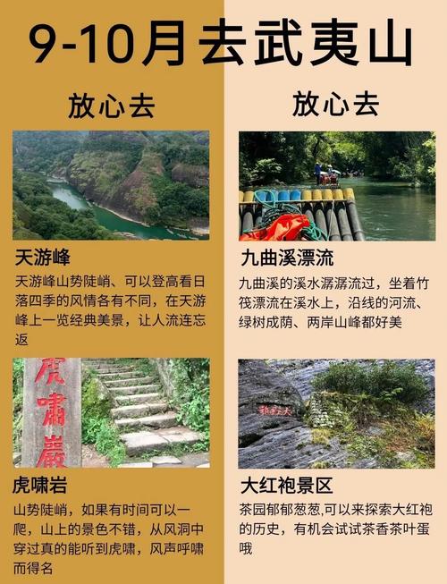 武夷山旅游攻略三日游多少钱