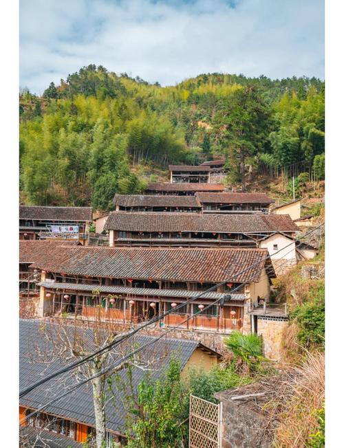 景宁畲族自治县旅游景点在哪里