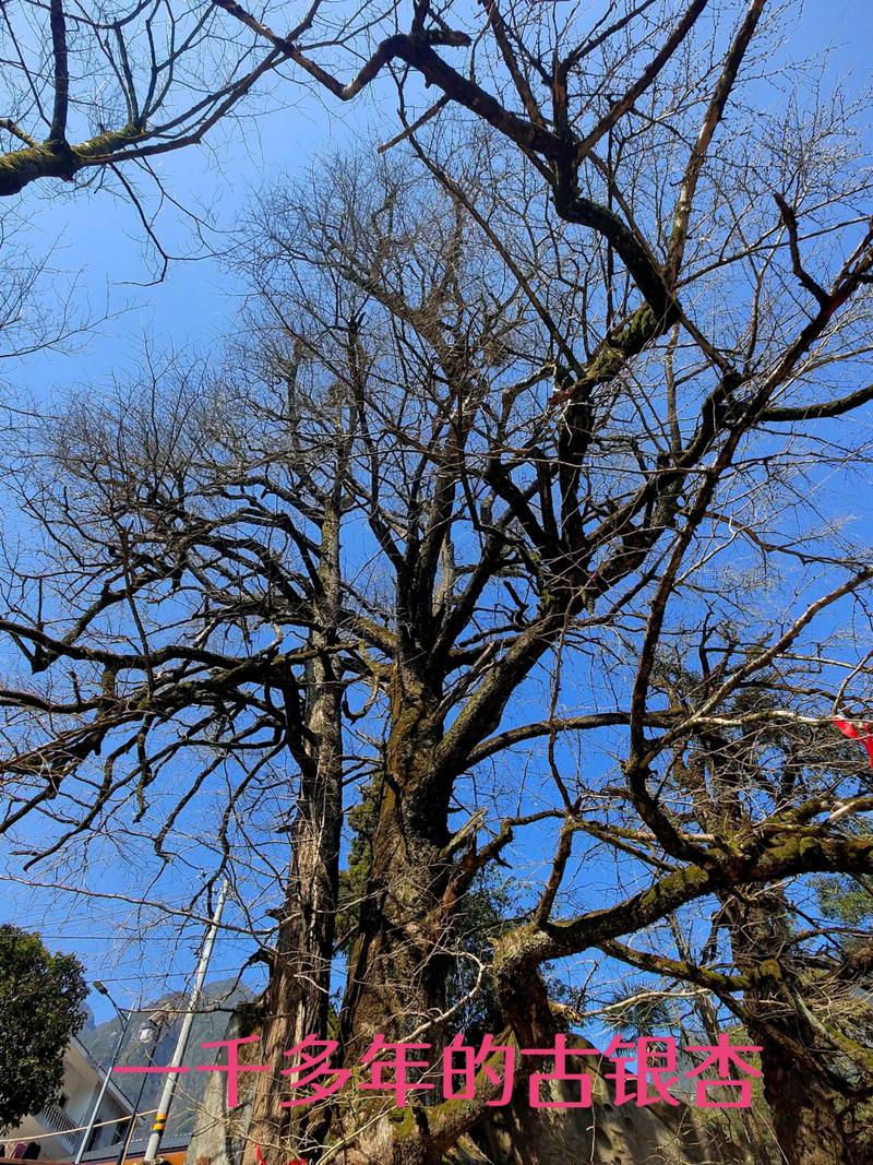 宜春温汤镇周边有什么旅游景点