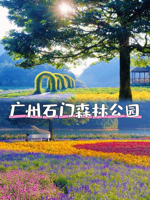 石门国家森林公园旅游攻略