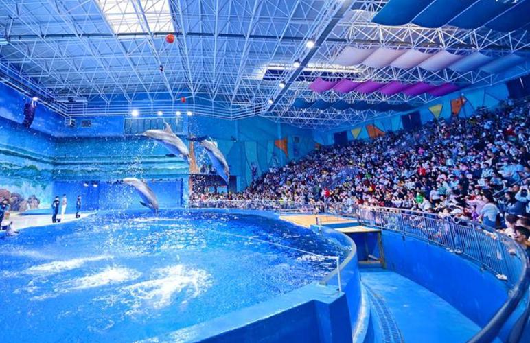 赣州极地海洋世界游玩攻略