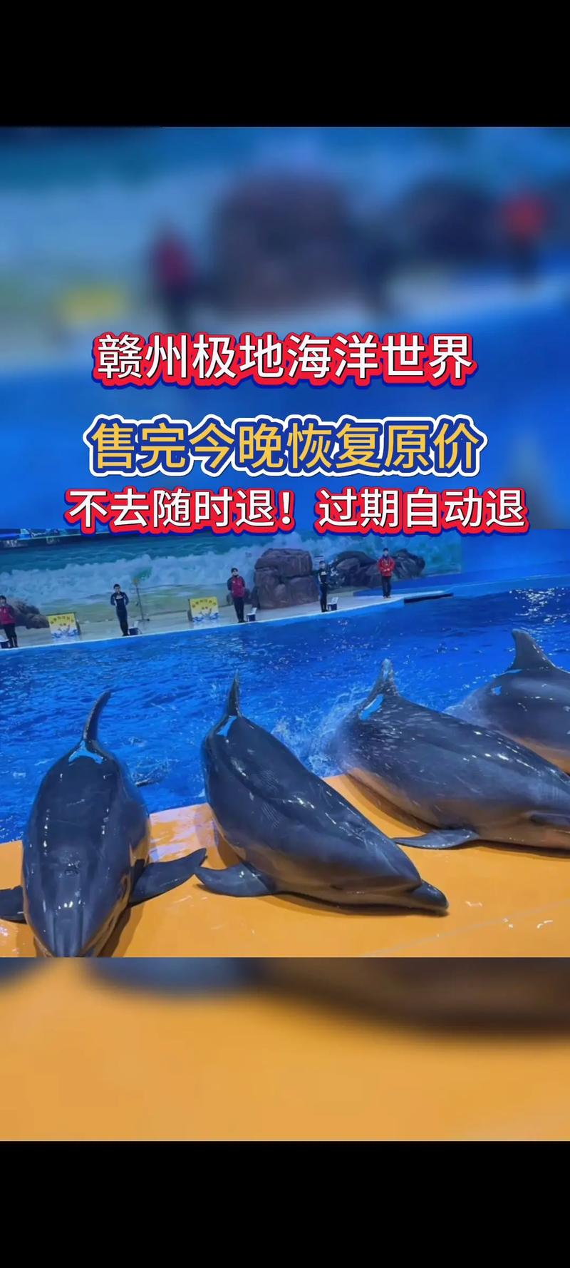 赣州极地海洋世界游玩攻略