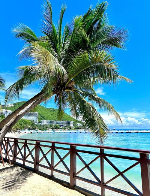 三亚有什么好玩的地方旅游景点