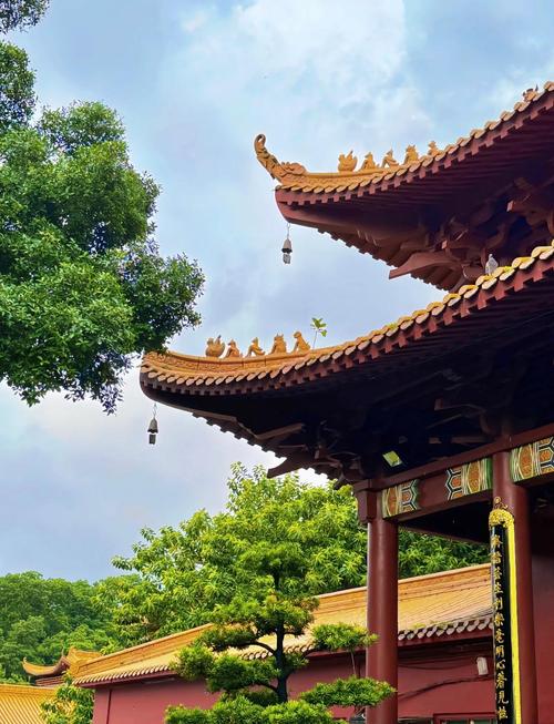 深圳的旅游景点哪些地方最好玩