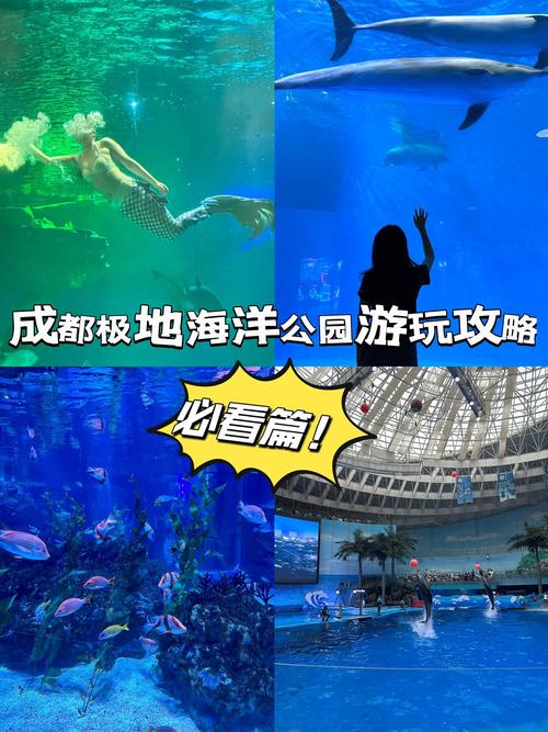 成都极地海洋世界游玩攻略