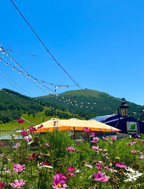 张家口周边城市旅游景点大全