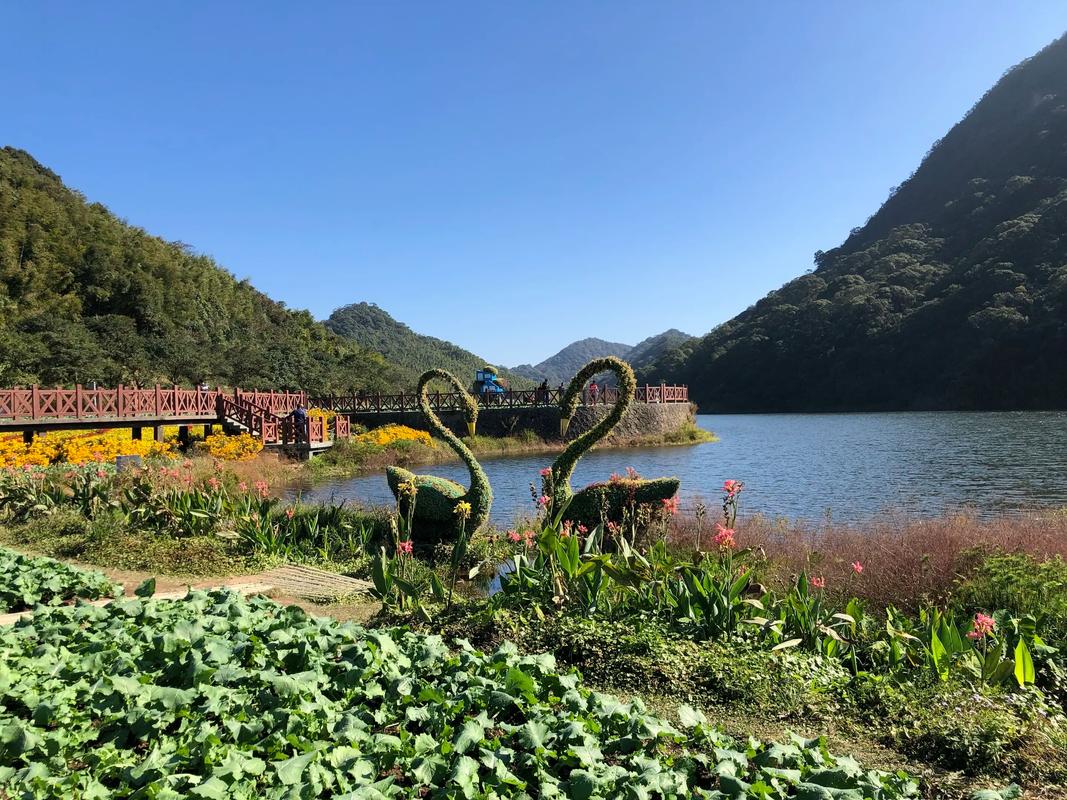 从化旅游景点一日游2025