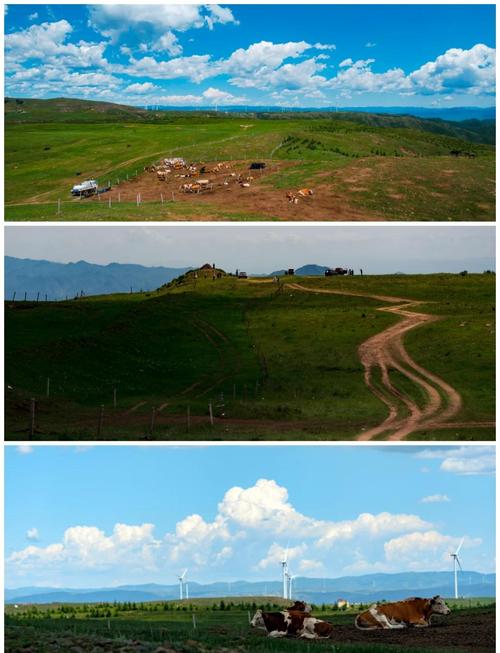 张家口草原天路自驾游攻略