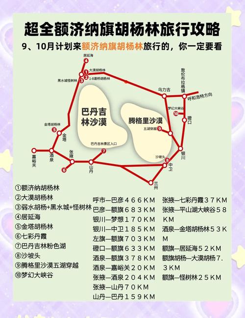 额济纳旗胡杨林自驾游攻略