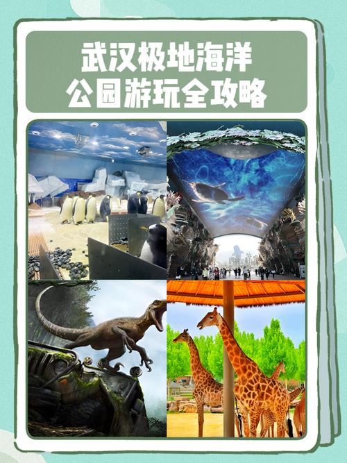 武汉极地海洋公园游玩攻略