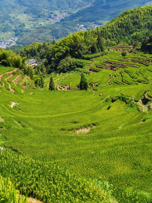 丽水少数民族旅游景点在哪里