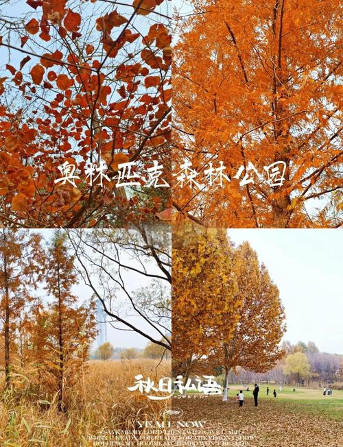 奥林匹克森林公园游玩攻略