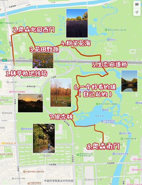 奥林匹克森林公园游玩攻略