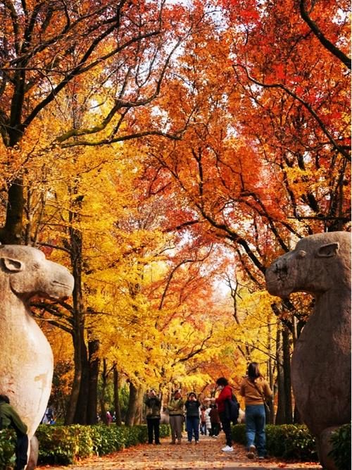 南京秋天旅游攻略景点必去