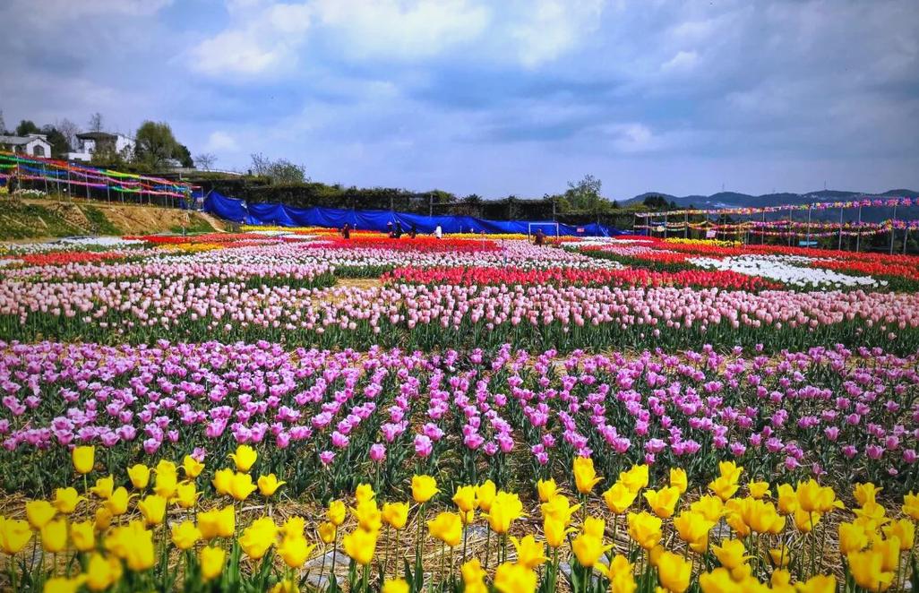 四川省广元市龙潭乡旅游景点