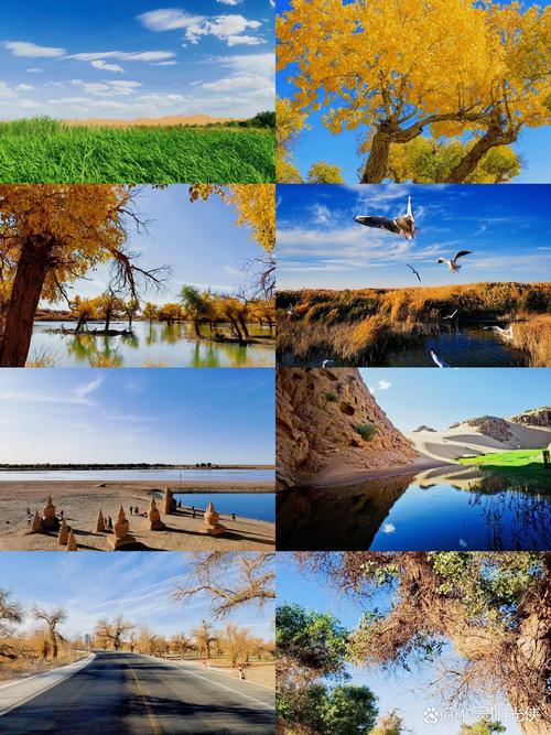 阿拉善旅游攻略必玩的景点