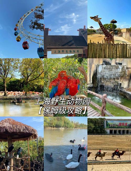 上海野生动物园一日游攻略
