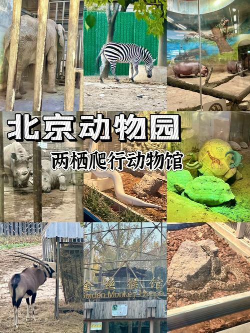 北京动物园攻略2025