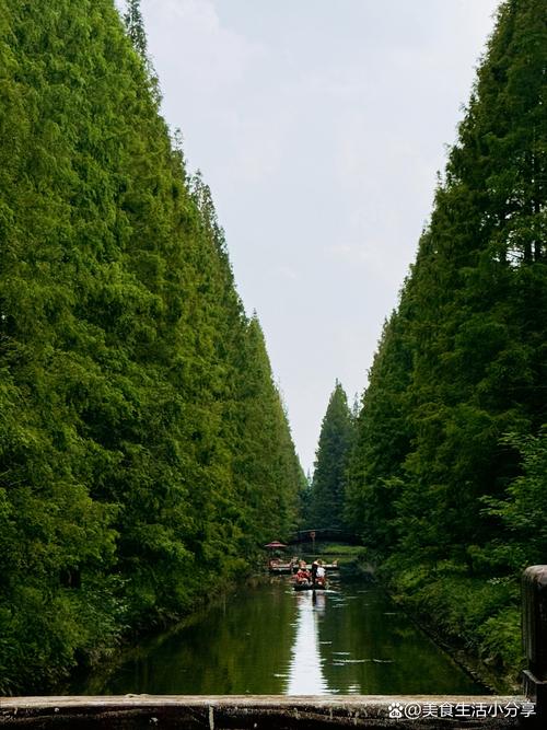 黄海森林公园一日游攻略