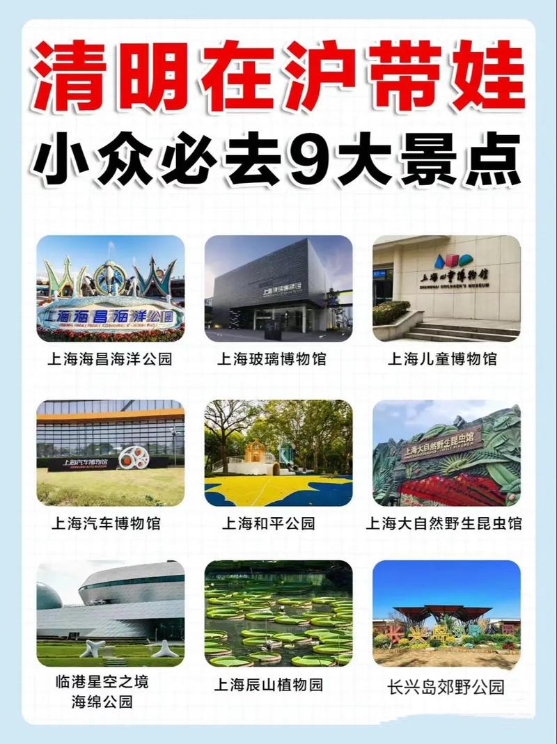 带孩子去上海一日游攻略