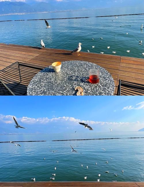 洱海旅游攻略自由行三天