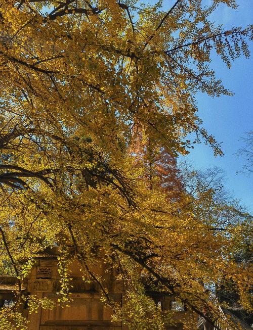 成都周边一日游旅游景点大全