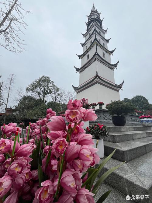 崇州旅游景点有哪些景点推荐