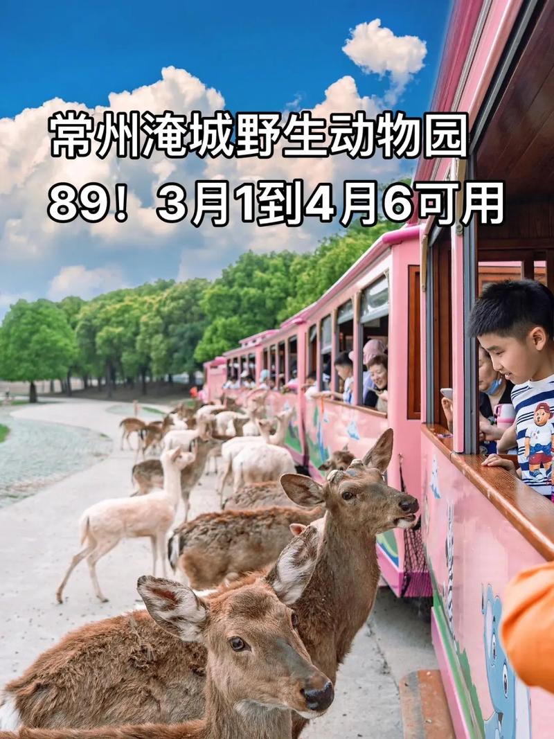 常州淹城野生动物园攻略