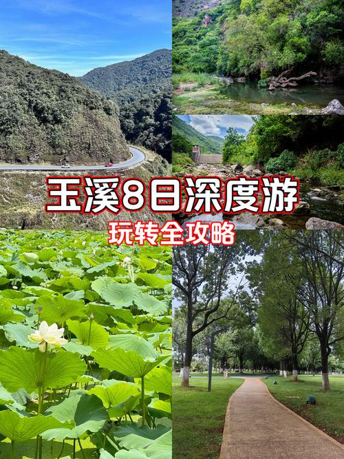 重庆到抚仙湖自驾游攻略