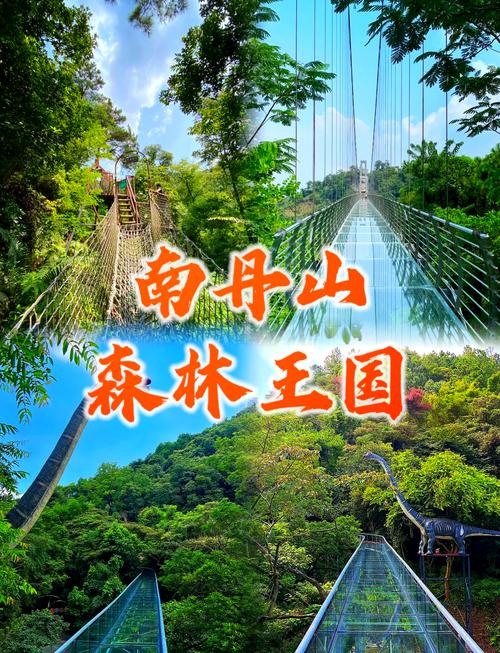 南丹山森林公园游玩攻略