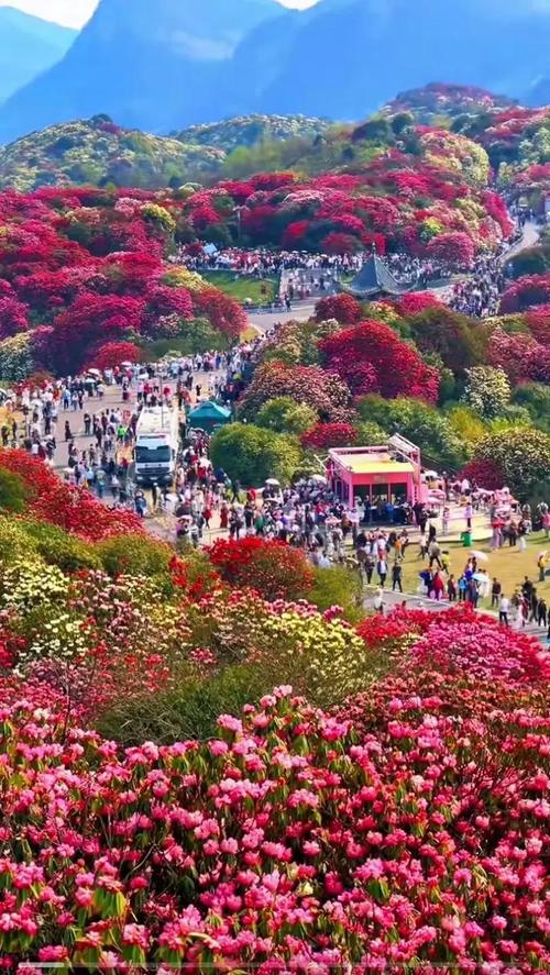 贵州省毕节市旅游景点大全