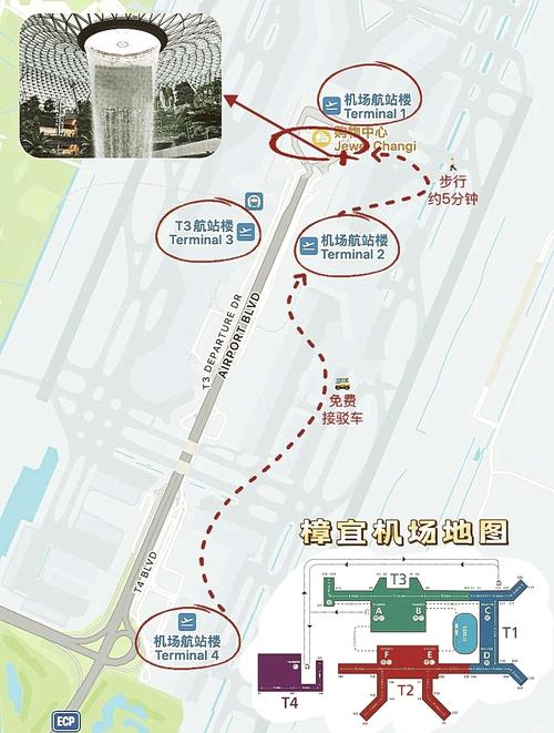 樟宜机场t4航站楼攻略