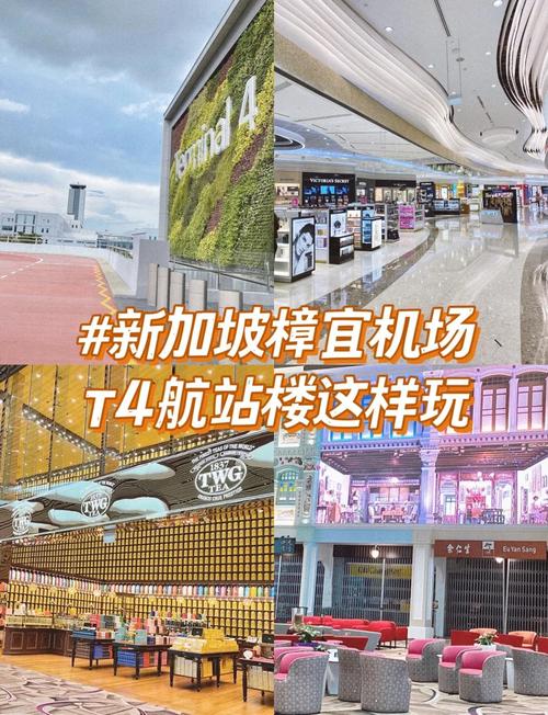 樟宜机场t4航站楼攻略