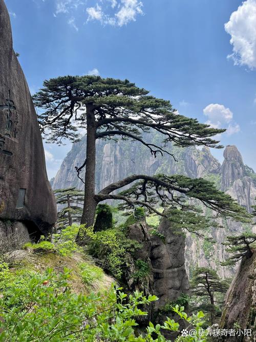 黄山市附近的旅游景点大全