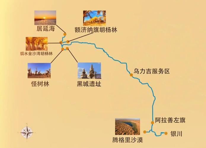 额济纳胡杨林自由行攻略