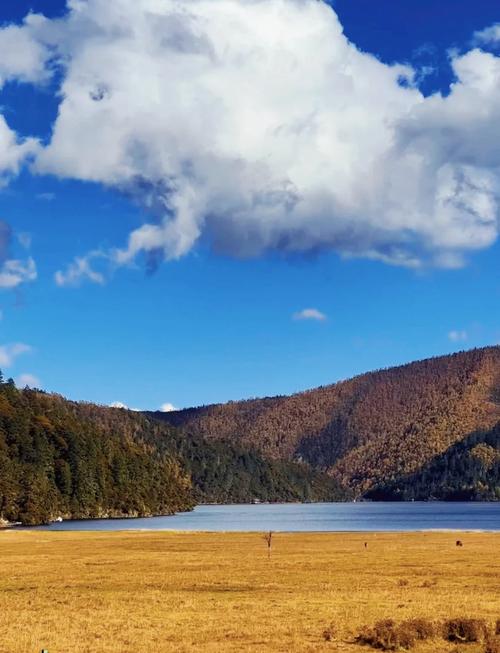 11月香格里拉旅游攻略