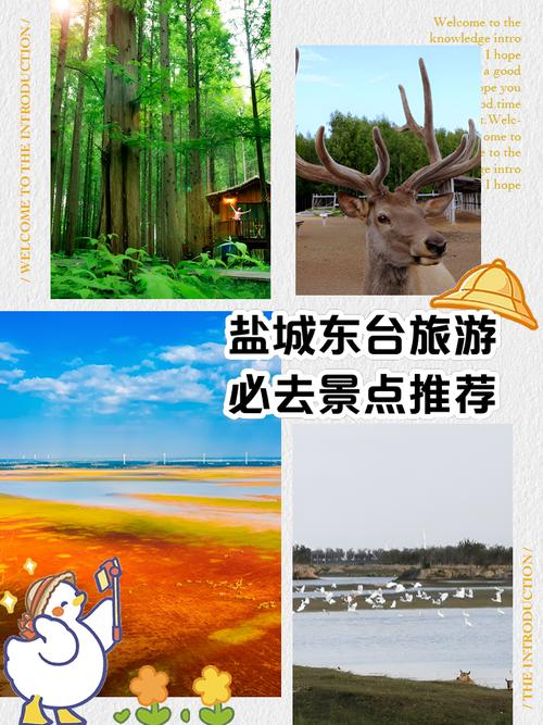 盐城东台旅游景点大全排名