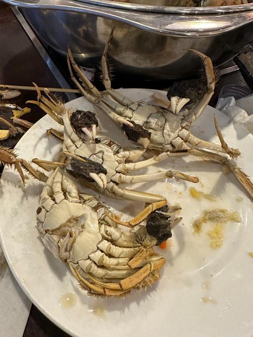 长春圣鲸美食汇自助餐