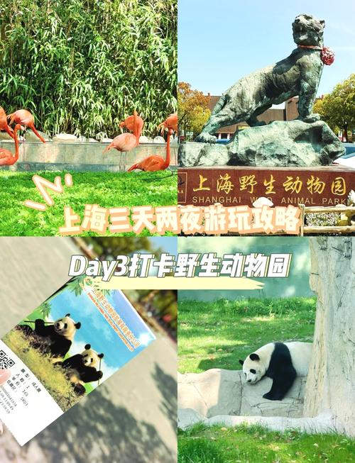 上海野生动物园旅游攻略