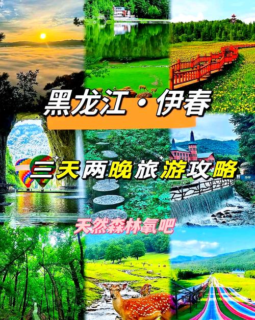 哈尔滨自驾伊春旅游攻略