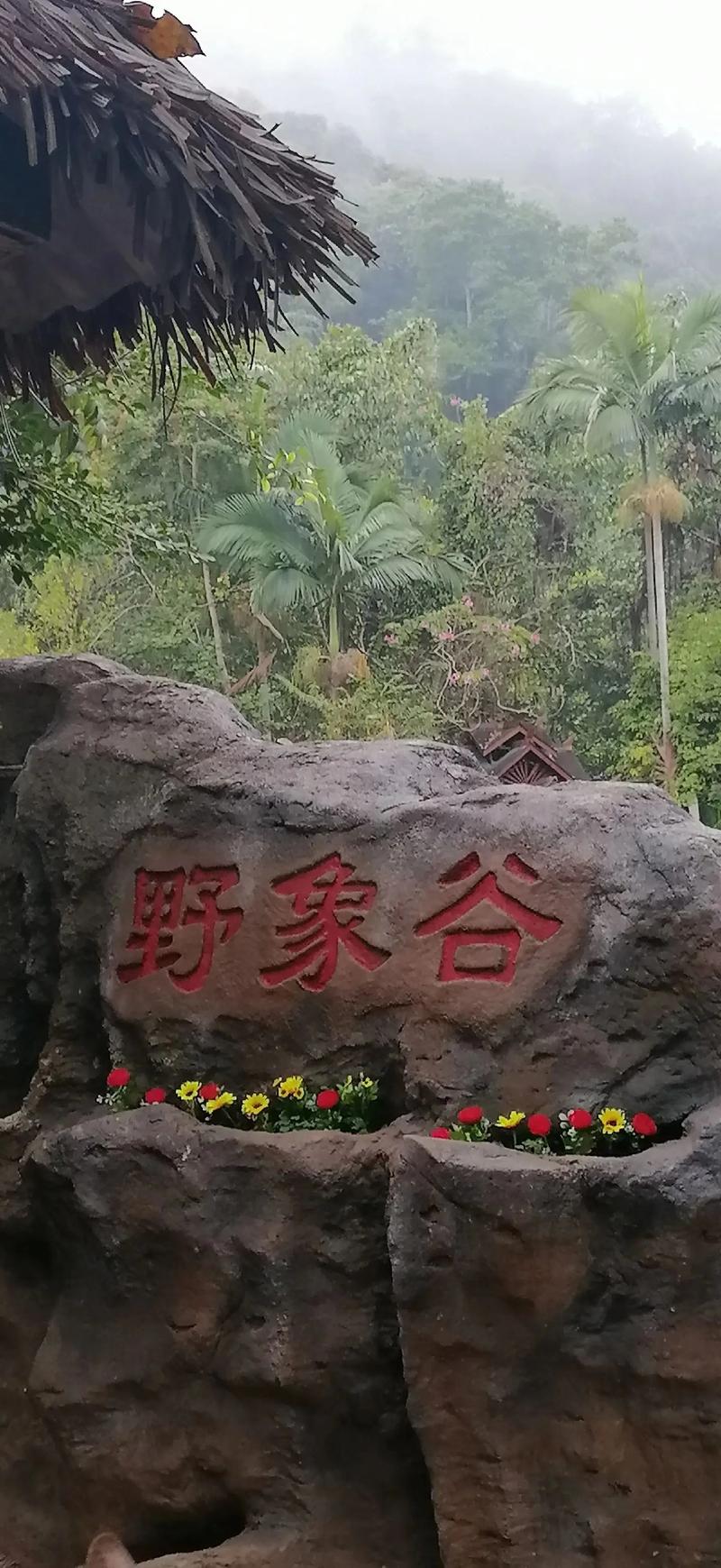 西双版纳野象谷旅游攻略