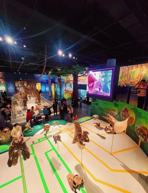 北京自然博物馆游玩攻略