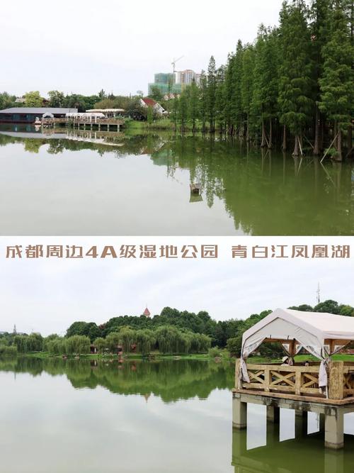 成都青白江区旅游景点大全