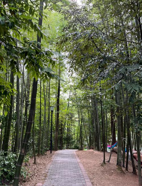 江津区周边旅游景点有哪些