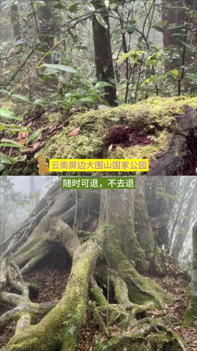 大围山国家森林公园攻略