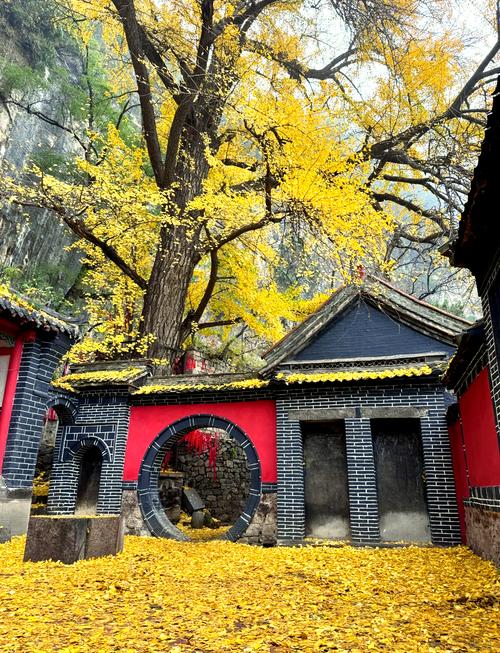 山东淄博市旅游景点有哪些