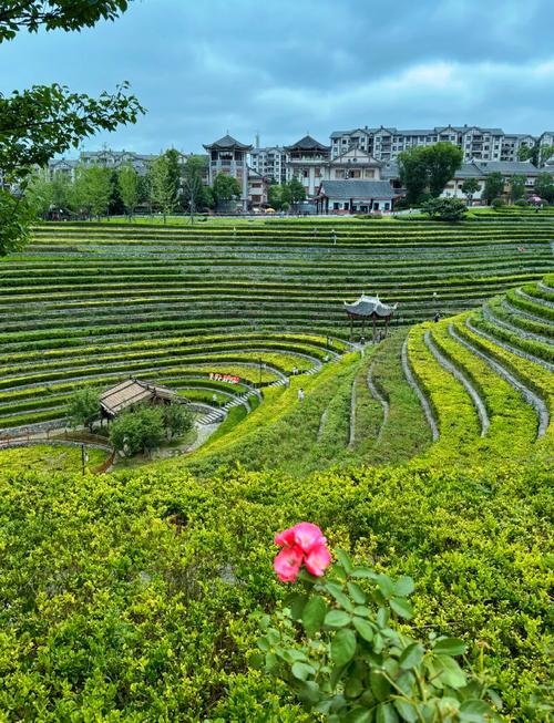 毕节大方县旅游景点有哪些