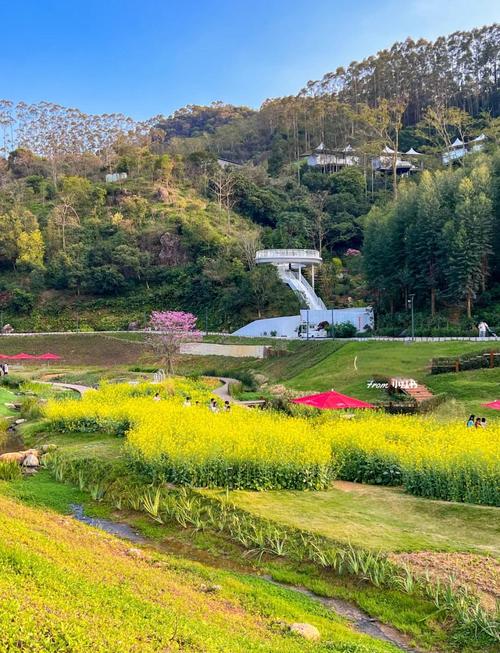 从化旅游景点大全介绍一下